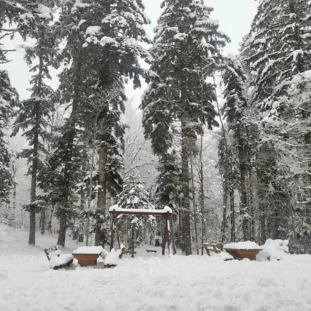 Lejlighed Magic Mountain *